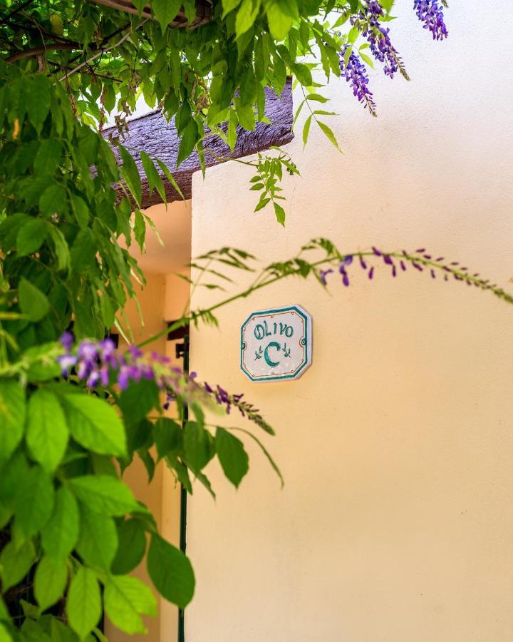 Agriturismo La Fonte Bevagna Kültér fotó
